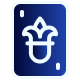 VIP programicon